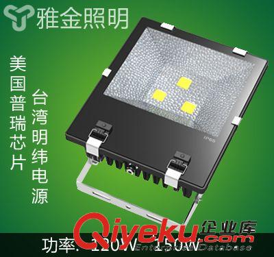 戶外照明 室外景觀照明燈具  LED投光燈C 100w120W150W