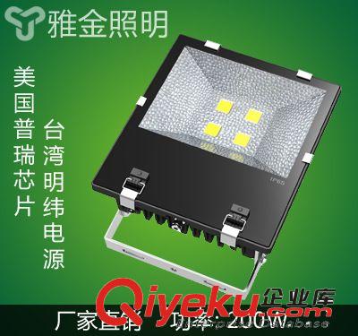 戶外照明 室外景觀照明燈具  LED投光燈C 100w120W150W