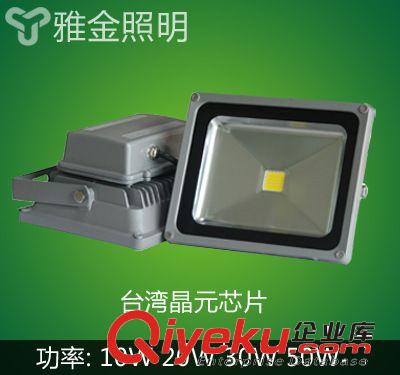室外景观照明灯具 户外照明  LED投光/泛光灯C 10W20W30W50W70W