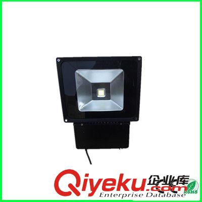 LED燈LED射燈 LED投光燈 10W  LED戶外景觀照