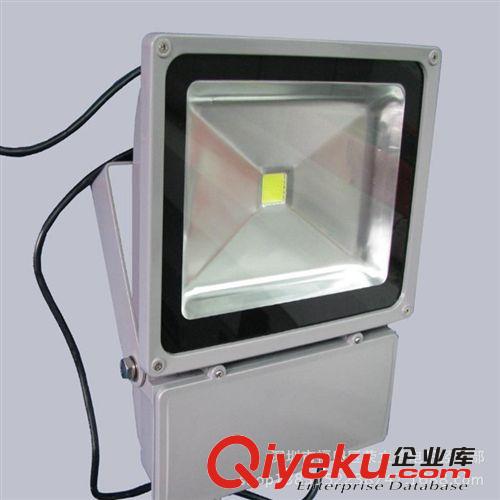 6W 12W 20W 30W 48W LED投光燈 投射燈泛光燈 廣告燈道路燈補(bǔ)光燈