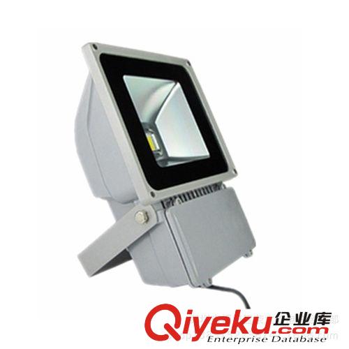 榮立信 200W LED燈集成投光燈 射燈 廠家直銷 質保2年