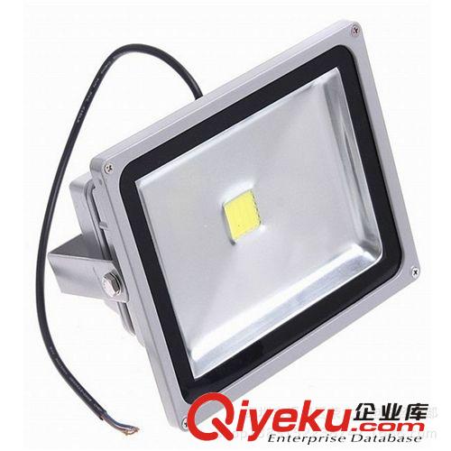 榮立信 70W LED燈集成投光燈 射燈 廠家直銷 質保2年