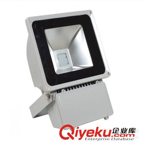 榮立信 100W LED燈集成投光燈 射燈 廠家直銷 質保2年原始圖片2