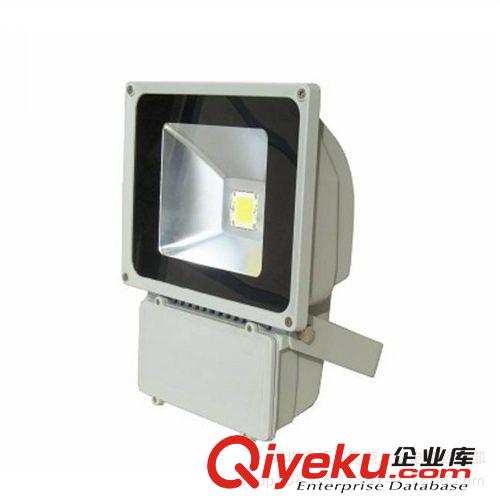 榮立信 100W LED燈集成投光燈 射燈 廠家直銷 質保2年原始圖片3