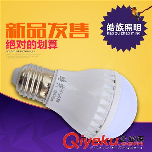皓族新款led球泡燈 led經(jīng)濟型球泡燈5W 廠家直銷塑料型led燈泡