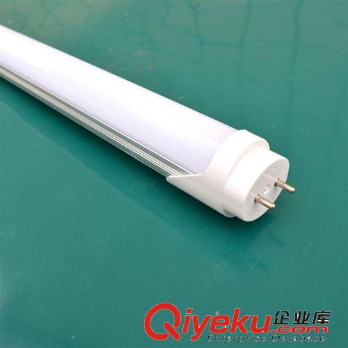廠家直銷led日光燈 皓族新款橢圓型led日光燈0.9m t8分體化日光燈原始圖片2
