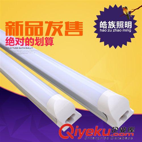 直銷t8分體化日光燈0.6橢圓形led日光燈led燈管t8現代照明電源
