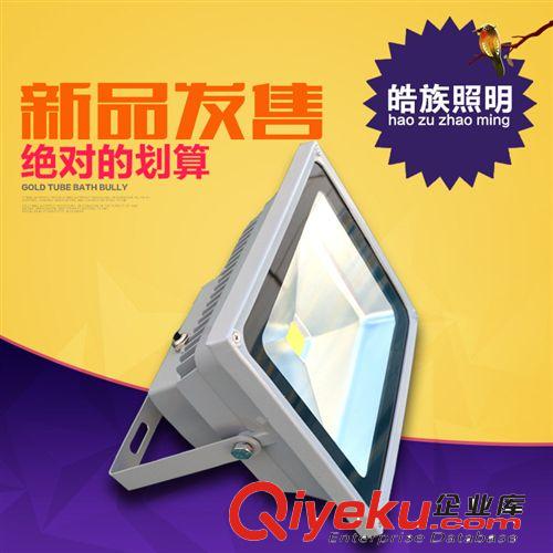 廠家供應led投光燈 皓族50wled投光燈 高亮度泛光燈led投光燈批發(fā)