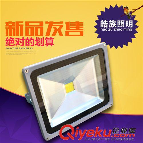 新款led投光燈 大功率led投光燈30W 皓族led特種照明燈廠家直銷