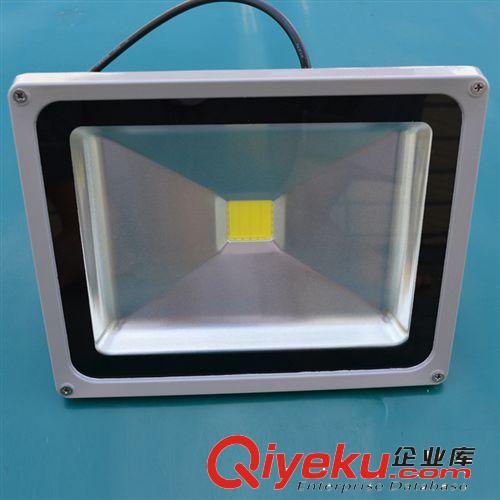 新款led投光燈 大功率led投光燈30W 皓族led特種照明燈廠家直銷