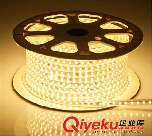 led燈帶led軟燈條220V高亮貼片5050led燈條暗槽燈條 led燈帶批發(fā)原始圖片2
