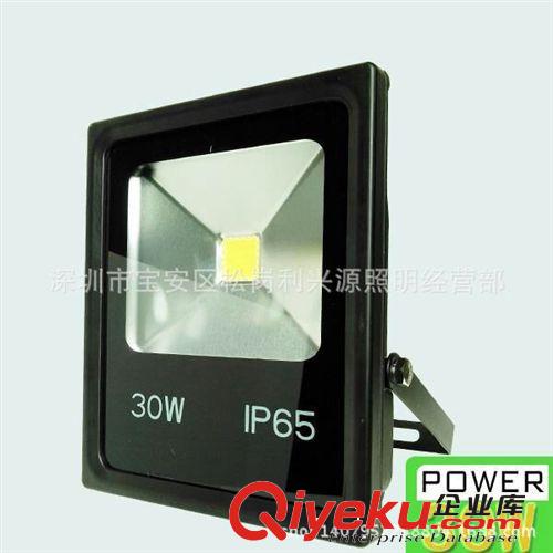 30W投光燈 臺灣芯片 10W 20W30W RGB10W戶外防水招牌燈廠家直銷原始圖片2