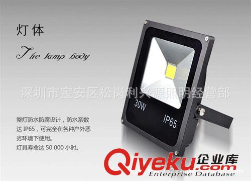 10W投光燈 泛光燈戶外廣告防水投光燈 10W 20W 30W 50W 100原始圖片2