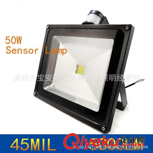 10W/20W 30W LED充電投光燈 應(yīng)急照明 可充電泛光燈 移動式照明