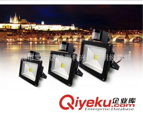 感應投光燈50W 紅外人體感應投光燈 廠家直銷 10W20W30W50W原始圖片2