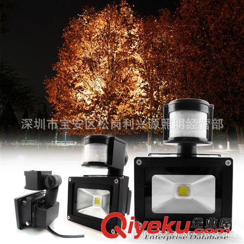 10w感應投光燈 紅外人體感應投光燈 廠家直銷 10W20W30W50W60W