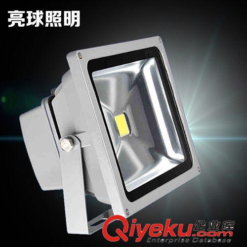 【企業采集】廠家直銷 10W20W30W50W70W100W大功率集成LED投光燈