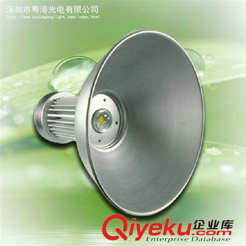 LED投光燈投射燈10w20w30w50w戶外廣告燈泛光廠家直銷質(zhì)保兩年