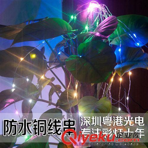 led彩燈閃燈/ 0603漆包線燈串/裝飾燈串/銅線燈串/低壓燈串/防水原始圖片2