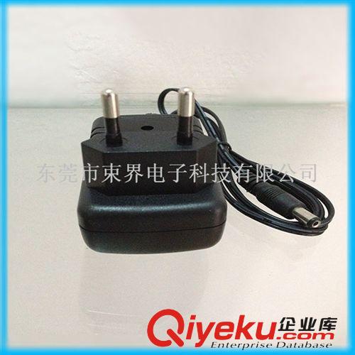 廠家 12w 國標歐標5V 6V 9V 12V 24V電源適配器原始圖片3