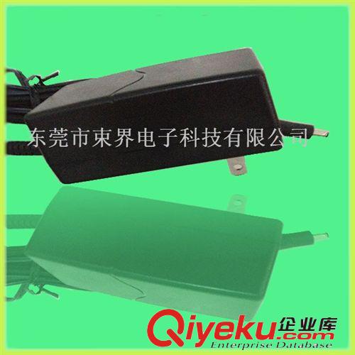廠家 24V1A電源適配器 24W美規插墻式電源適配器原始圖片3
