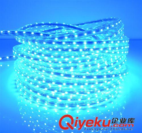 供應高壓220V 3528LED燈帶 各種單色 廠家直銷柔性軟燈條原始圖片3