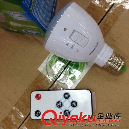 12V低壓 LED燈 直流燈泡 擺地?cái)傉彰鳠艟?臨時(shí)應(yīng)急野營(yíng)夜釣照明