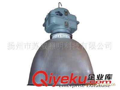供應(yīng) 低頻無極燈 鋼廠照明  上海無極燈廠家