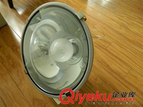 供應低頻無極燈燈具、 低頻投光燈具原始圖片2