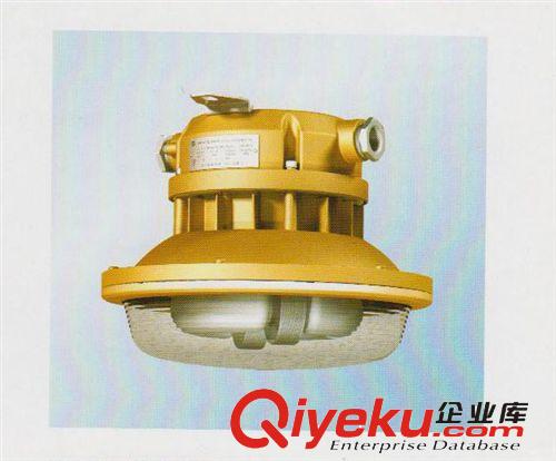 SBF防爆燈低頻無極燈鎮流器40、60、80W、100W電源　整流器原始圖片2