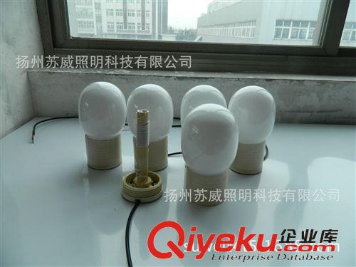 供應（月銷5000套）迅雷牌分體式高頻無極燈、高頻無極燈原始圖片2