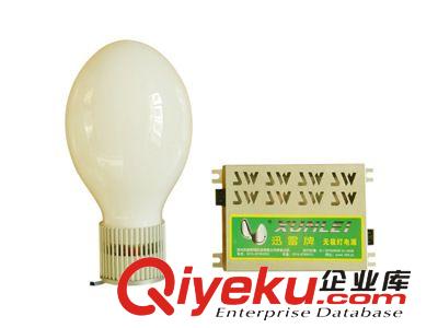 供應訊雷牌：XLGP系列“220V交流”50W,60W（拍形泡）