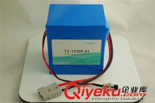 廣州蓄電池廠家供應12V 免維護鉛酸蓄電池 免維護電池
