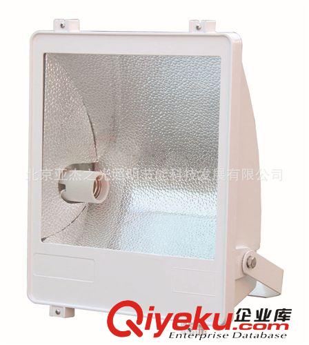 生产厂家直供仿索恩 TG06 泛光灯具 250W- 400W