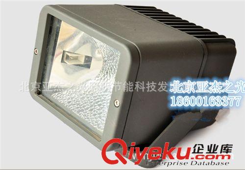 厂家直销 户外灯具：新方灯射树投光灯 70W-175W双端投光灯