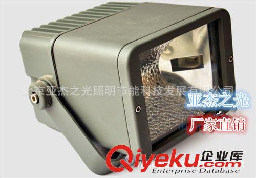 厂家直销 户外灯具：新方灯射树投光灯 70W-175W双端投光灯