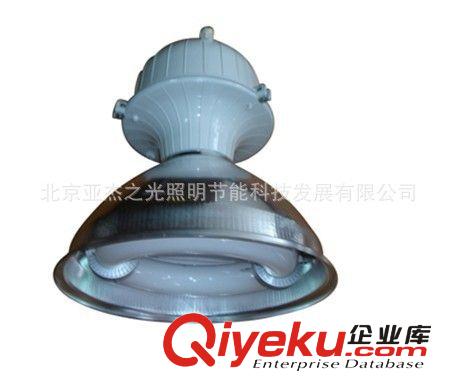 廠家直供工礦低頻無極燈廠房專用無極燈