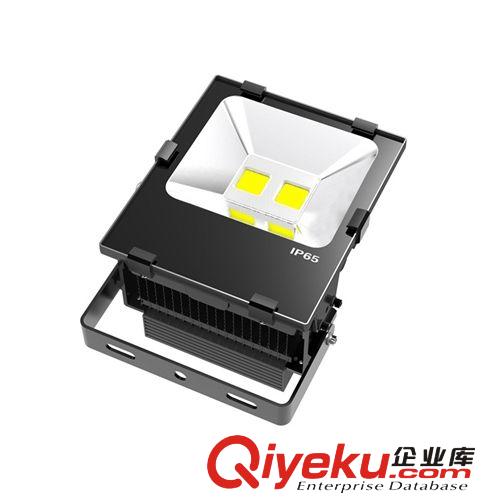 T廠家供應(yīng)工程{sx}產(chǎn)品led水底燈 城市亮化投射燈