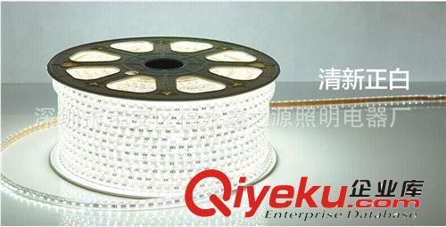 【鑫之源】超高亮LED3014燈帶 LED軟燈條 高壓220V防水燈條 新品