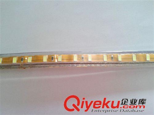廠家直銷(xiāo)高壓燈帶5730貼片燈帶72燈防水燈帶 220v高亮大量現(xiàn)貨原始圖片2