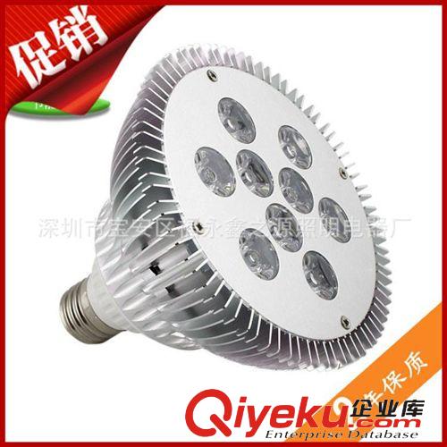 廠家供應(yīng)LED帕燈PAR38射燈12w par38 鰭片par燈白色外殼