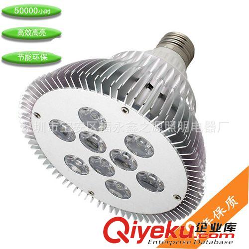 廠家供應(yīng)led燈9WPAR燈 LED 帕燈 par38射燈 燈批發(fā)原始圖片2