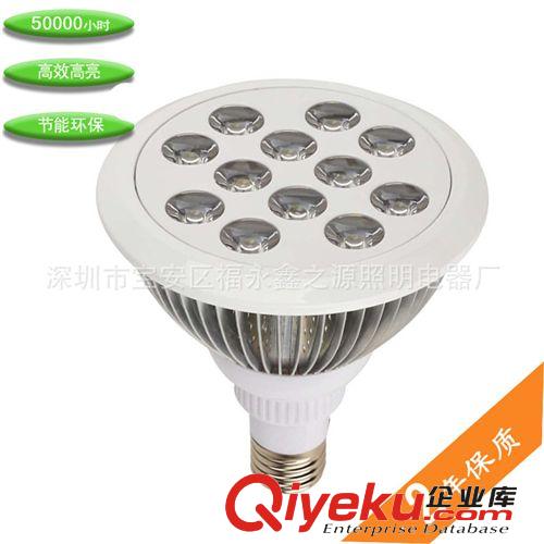 廠家供應(yīng)LED帕燈PAR38射燈12w par38 鰭片par燈白色外殼原始圖片2