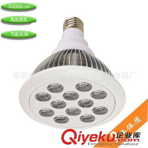 廠家供應(yīng)LED帕燈PAR38射燈12w par38 鰭片par燈白色外殼原始圖片3