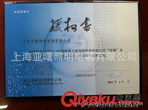 汞燈自鎮(zhèn)流GYZ250W高壓汞燈亞明1923金鹵燈原始圖片3