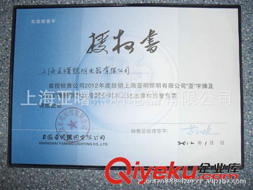 節(jié)能燈45W亞明1923大功率節(jié)能燈原始圖片2