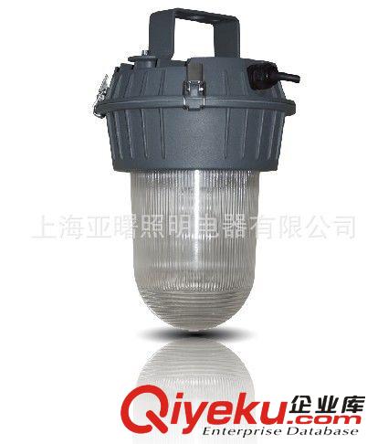 三防燈ZY711三防燈具亞明燈具70-150W燈具