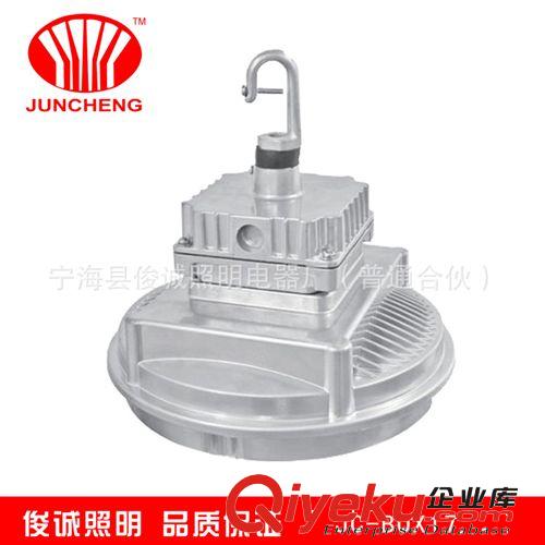 工業(yè)商業(yè)照明燈具 工礦照明燈具工礦電器箱 JC-BOX17