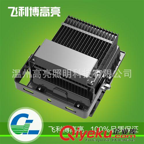 LED投光燈 GL-TG70W 室外投光燈 戶外廣告牌投光燈 景觀投光燈